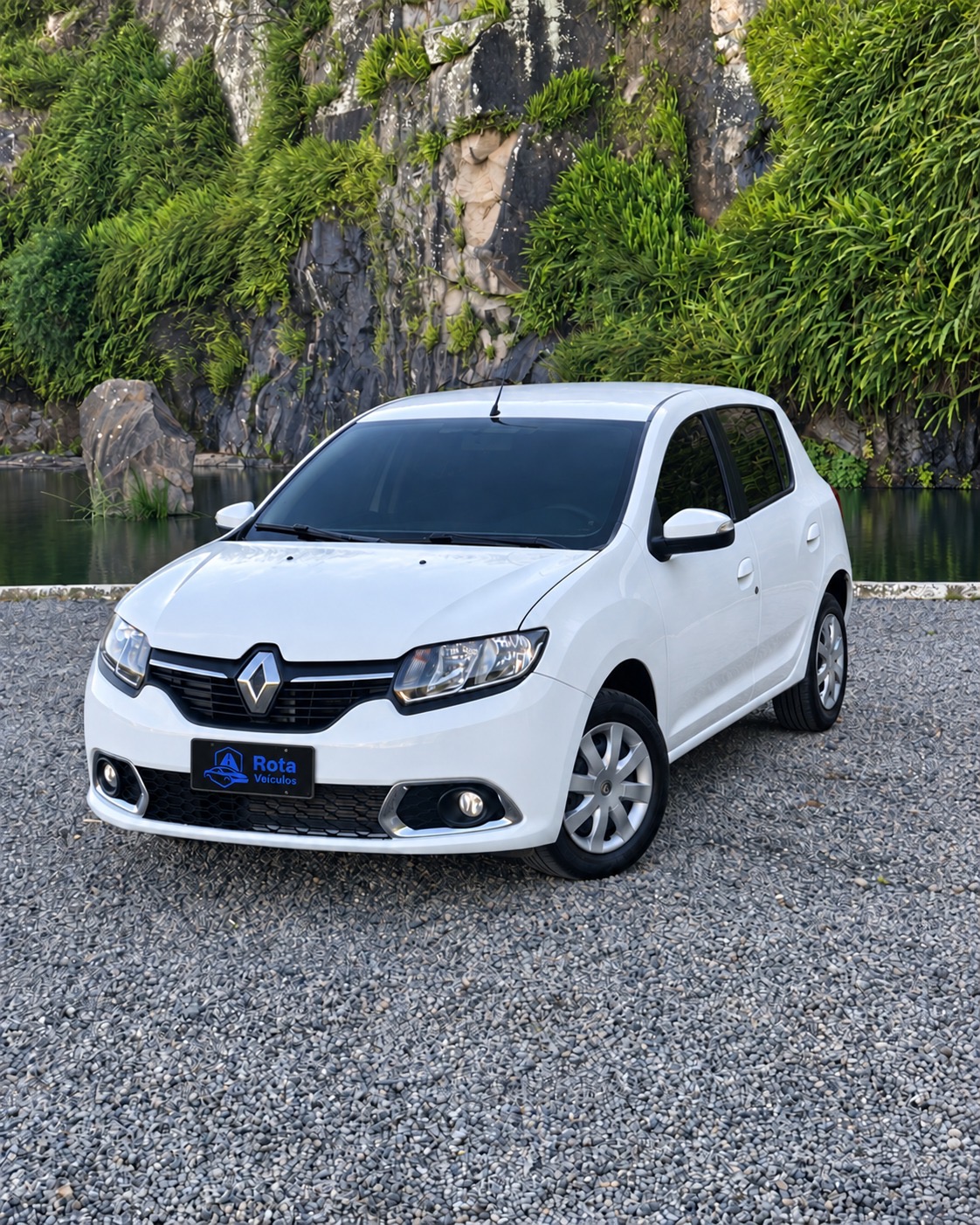 Renault Sandero Dynamique-2