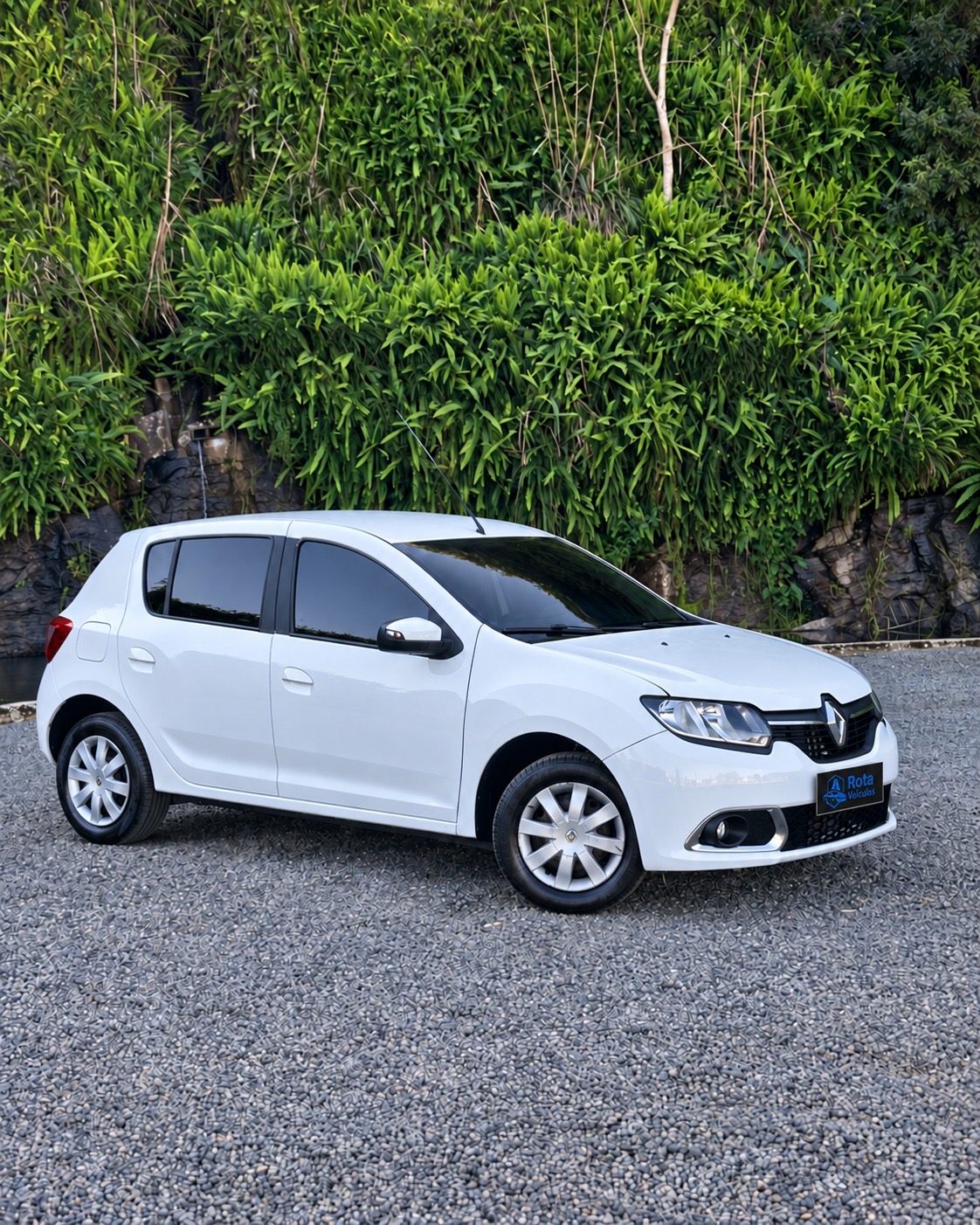 Renault Sandero Dynamique-3